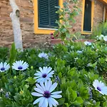 Kır Evi Casa De Canelas - Refugio Terroir *