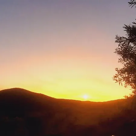 Casa de Campo Casa De Canelas - Refugio Terroir *