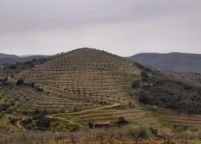 Casa de Campo Casa De Canelas - Refugio Terroir