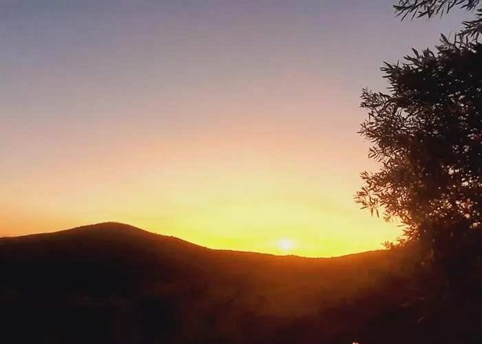 Casa de Campo Casa De Canelas - Refugio Terroir *