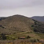 Landhaus Casa De Canelas - Refugio Terroir Acoreira