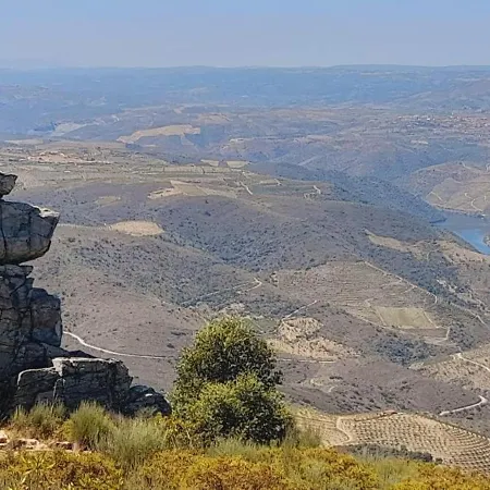Landsted Casa De Canelas - Refugio Terroir Acoreira
