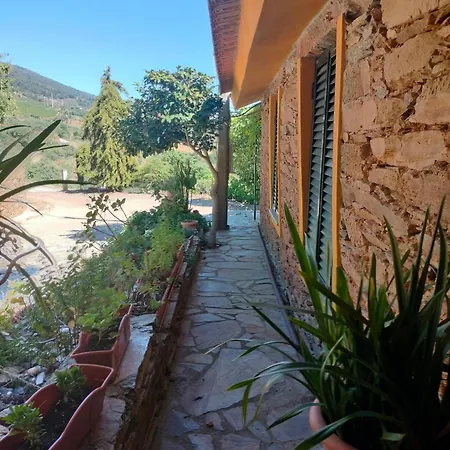 Landsted Casa De Canelas - Refugio Terroir Acoreira