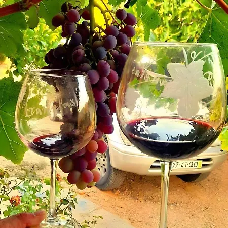 Casa De Canelas - Refugio Terroir