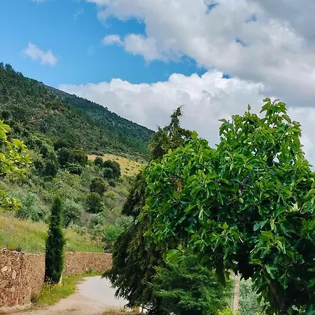 בית כפרי Casa De Canelas - Refugio Terroir