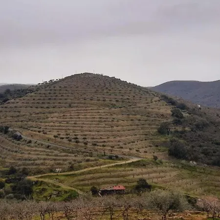 Casa di campagna Casa De Canelas - Refugio Terroir Acoreira