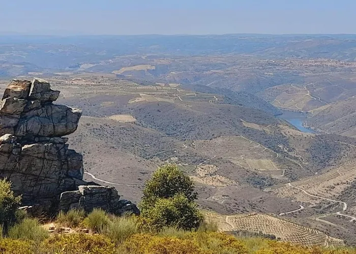 Gospodarstwo wiejskie Casa De Canelas - Refugio Terroir Acoreira