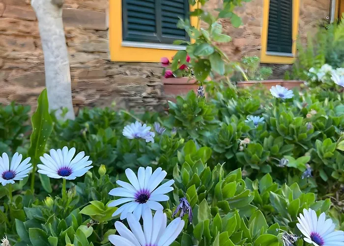 Gospodarstwo wiejskie Casa De Canelas - Refugio Terroir *